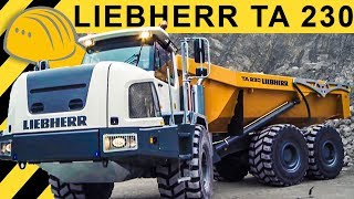 Liebherr TA 230 Dumper Einsatz  Walkaround amp Demo im Steinbruch Jobreport [upl. by Sallyanne]