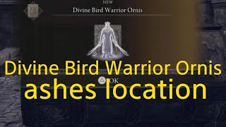 ELDEN RING dlc  Divine Bird Warrior Ornis ashes location [upl. by Hulbard]