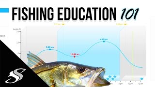 Fishing How to  Understanding Tidal Coefficient Barometric Pressure amp Solunar [upl. by Lydia]