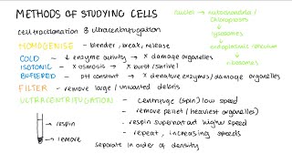 Studying Cells Electron Microscopes  A Level Biology  OCR AQA Edexcel [upl. by Wystand]