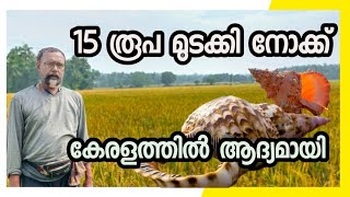 നെൽ കർഷകർക്ക് ഒരു സന്തോഷവാർത്ത [upl. by Sirej]