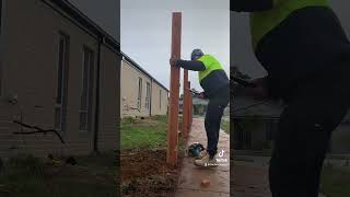 Building a timber fence diy fencebuilding work construction shorts howto [upl. by Airdnahc392]