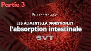 chapitre1 les aliments la digestion et labsorption intestinale Partie 3 labsorption intestinale [upl. by Anzovin530]