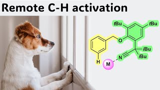 CH activation at remote positions [upl. by Pasadis]