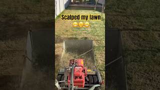 Scalped my lawn leveling using sand lawn diy [upl. by Yakcm]