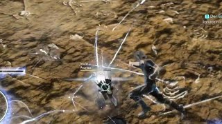 LvL 120 Aranea vs LvL 1 Noctis armiger  no hit [upl. by Atteloiv]