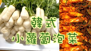 韓國泡菜｜韓式小蘿蔔泡菜，做法簡單，清涼可口，又脆又美味！ [upl. by Wein]