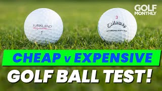 CHEAP v EXPENSIVE GOLF BALL TEST [upl. by Annayak]