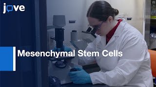 Mesenchymal Stem Cells Isolation and Expansion  Protocol Preview [upl. by Oiragelo]