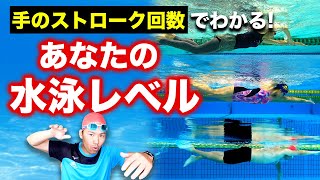 【クロール】25mでわかるあなたの水泳レベルはどれくらい？？レベルに合わせた練習方法も解説します！ [upl. by Iam]