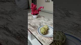 Benifits of sithapalamసీతాఫలం Custard apple😋foodfruitsytshortshortviral [upl. by Ainar]