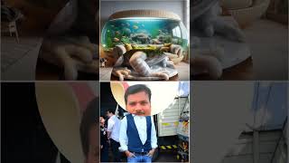 Top ten cid officers in there fish tank acppradyuman daya abhijeet purvi youtubeshorts [upl. by Gustin175]