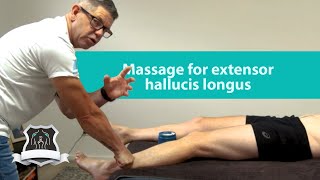 Massage for extensor hallucis longus  Trigger point therapy [upl. by Chamberlain378]