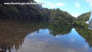 Dalby Forest  Great Yorkshire Forest North Yorkshire Moors Summer [upl. by Kegan392]