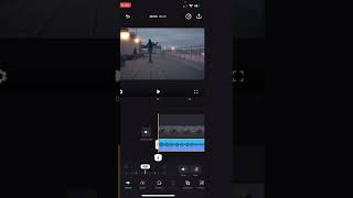 Volume Adjusting a Videos Volume [upl. by Gwendolyn]