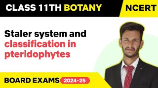 Stelar Systen and Classification of Pteridophytes [upl. by Rosie]