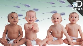 The Disturbing Truth About Sperm Banks [upl. by Egroj]