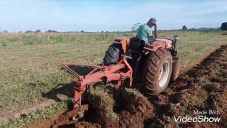 Trator Agrale 4200 lavrando com arado vira chapa de 2 bacias abertas [upl. by Arriec]