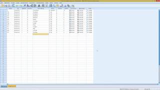 SPSS  Mehrfachantworten [upl. by Imray400]