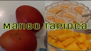 Mango Tapioca Recipe  How to make Mango Sagot Gulaman [upl. by Lednam]