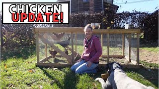 Updating The Chicken Coop Making The Chicken Coop Less Daily Work [upl. by Cotterell30]