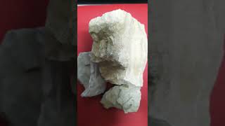 Rocas de calizas rocas sedimentarias mineralesnaturales youtubeshorts mineralogia mineral [upl. by Domash484]