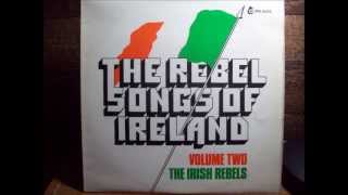 Boolavogue  The Irish Rebels [upl. by Doniv896]