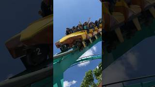 Kumba  Busch Gardens Tampa Bay  Roller Coaster [upl. by Oilalue501]