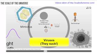 GenChem Intro Why in the Fart Should We Care About Chemistry [upl. by Haidadej103]