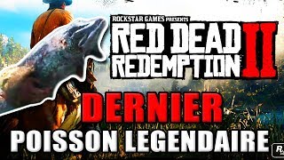 RED DEAD REDEMPTION 2  COMMENT PÊCHER LE DERNIER POISSON LEGENDAIRE  poisson chat [upl. by Ticknor]