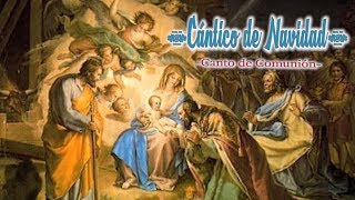 CÁNTICO DE NAVIDAD  CANTO DE COMUNIÓN PARA TIEMPO DE NAVIDAD  MSP [upl. by Eisus]