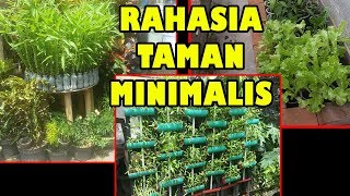 TIS Cara Tanam Lahan Sempit Untung Selangit SawiCabeTomatTerong Growing Plant in Small Garden [upl. by Atikal519]