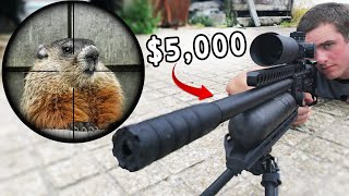 Pest Control with 5000 Airgun Scope Cam [upl. by Dearman594]