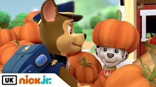 PAW Patrol Friendship song Color Coded Lyrics [upl. by Etnom]