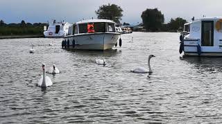 Potter Heigham Herbert Woods boatyard Norfolk Broads [upl. by Besse]