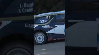 DS3 WRC car automobile wrc racing race citroen cars motorsport flatout terre rallycar [upl. by Omrelliug]