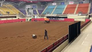 Brittany Pozzi Tonozzi amp Babe On The Prowl  1st Round of the Golden Buckle Barrel Race Futurity [upl. by Hemphill298]