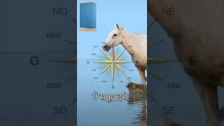 ShortsViral shorts Vastu tips amazing facts Running horses with ⬇️⬆️upay [upl. by Constance967]