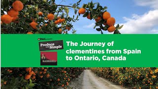 Clementines Their journey from Spain to Ontario Produce Made Simple [upl. by Esinehs]