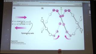 13 Kevin Aherns Biochemistry  Enzyme Mechanisms amp Regulation [upl. by Noir]