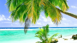 Relaxing Tropical Beach and Palm Trees  Ocean Sounds for Meditation Study and Sleep  10 Hours [upl. by Lotsirk]