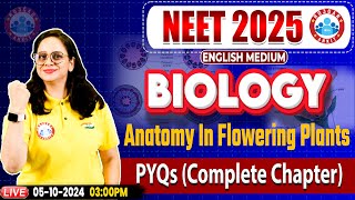 NEET 2025 English Medium Biology  Anatomy In Flowering Plants PYQs Complete Chapter By Vandana Mam [upl. by Pearlman]