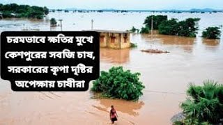 চরমভাবে ক্ষতির মুখে কেশপুরের সবজি চাষ সরকারের কৃপা দৃষ্টির অপেক্ষায় চাষীরা [upl. by Animrac622]