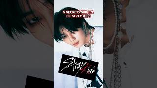 5 SECRETS SUR IN DE STRAY KIDS straykids skz kpop [upl. by Yttap]