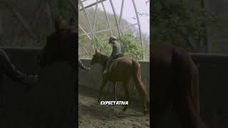 quot¡Bucéfalo El Caballo que Cambió la Historia junto a Alejandro Magno 🐎🔥quot shortvideo [upl. by Ahsekel4]