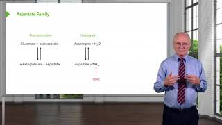 Aspartate Family amp Asparagine Metabolism [upl. by Sela]