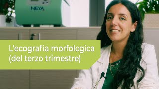 LEcografia MORFOLOGICA del terzo trimestre  a cura della Dottssa Mariella Amendolara [upl. by Kopp40]