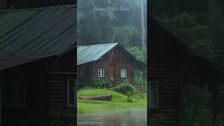 RAIN SOUNDS FOR SLEEP AT NIGHT rain sleep rainsounds shorts relax NATURE [upl. by Mackler]