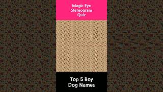 Top 5 Boy Dog Names stereogram quiz [upl. by Killigrew]