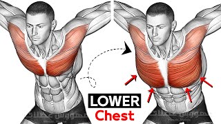 9 Best Exercises Lower Chest Workout to Get Bigger Chests [upl. by Yliab32]